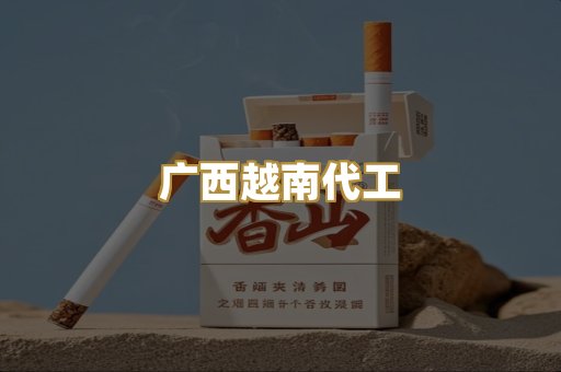 广西越南代工